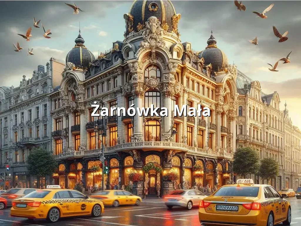 Bezpieczne Taxi Żarnówka Mała