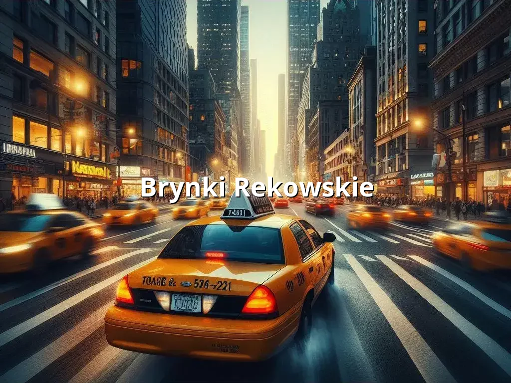 Bezpieczne Taxi Brynki Rekowskie