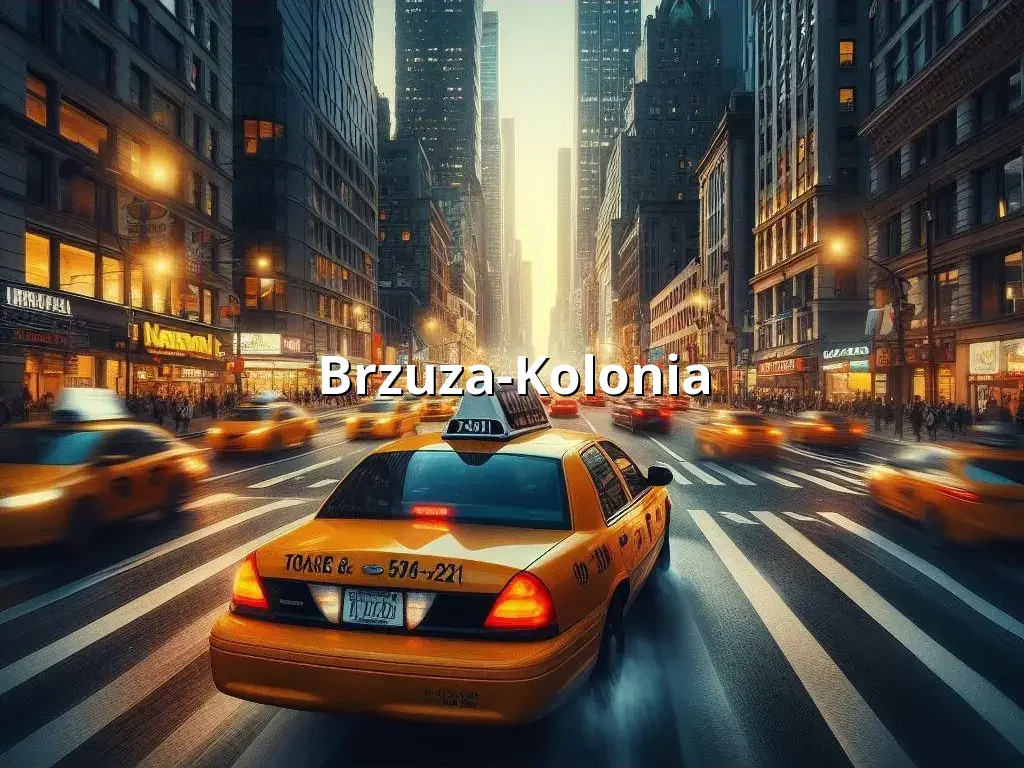 Bezpieczne Taxi Brzuza-Kolonia